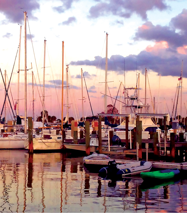 Boats docked at the marina