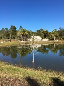 Sculpture Garden view at White Sands Buddhist Center