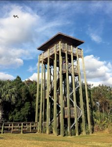 Observation Tower