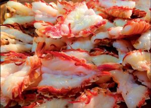 Rock Shrimp