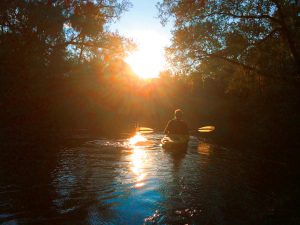 Kayaker floating down river during sunset
