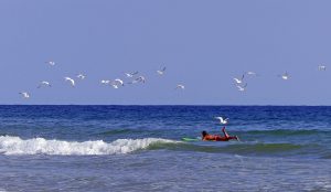 Surfer on Waves in Ocean with Birds flying above
