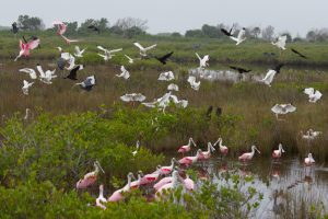 wildlife refuge