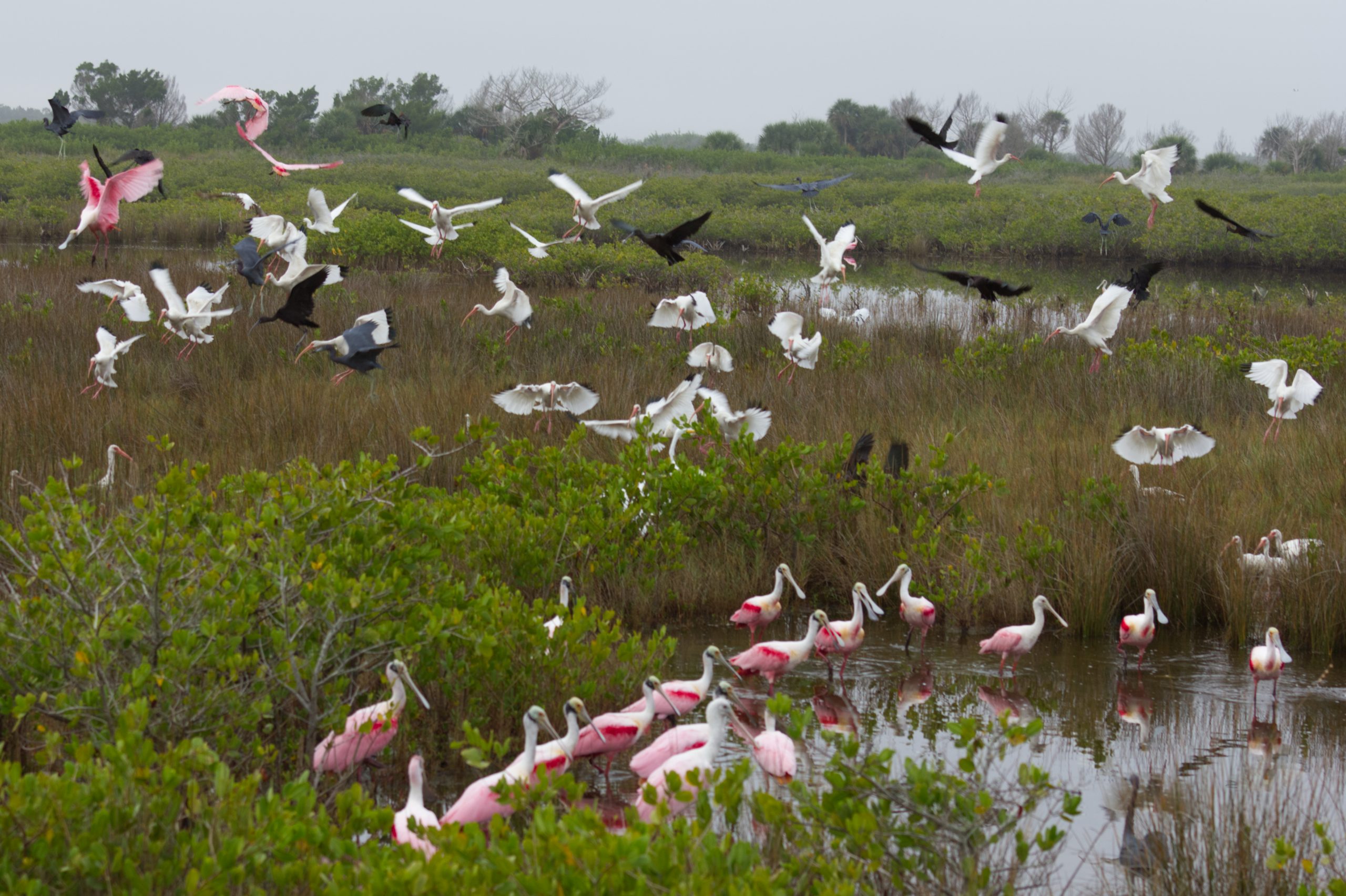 wildlife refuge