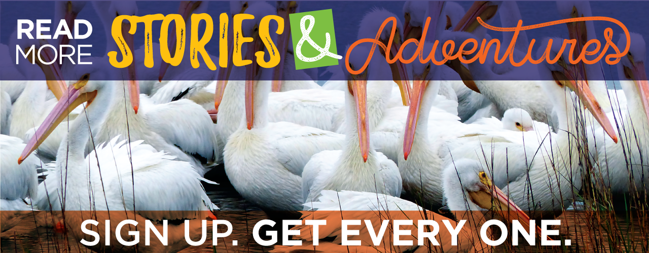 Read more Stories and Adventures - Sign up. Get every one.