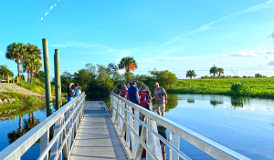 Airboat dock