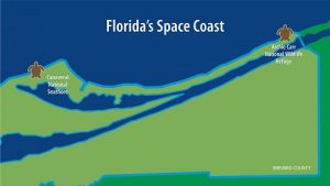 Sea Turtle Map