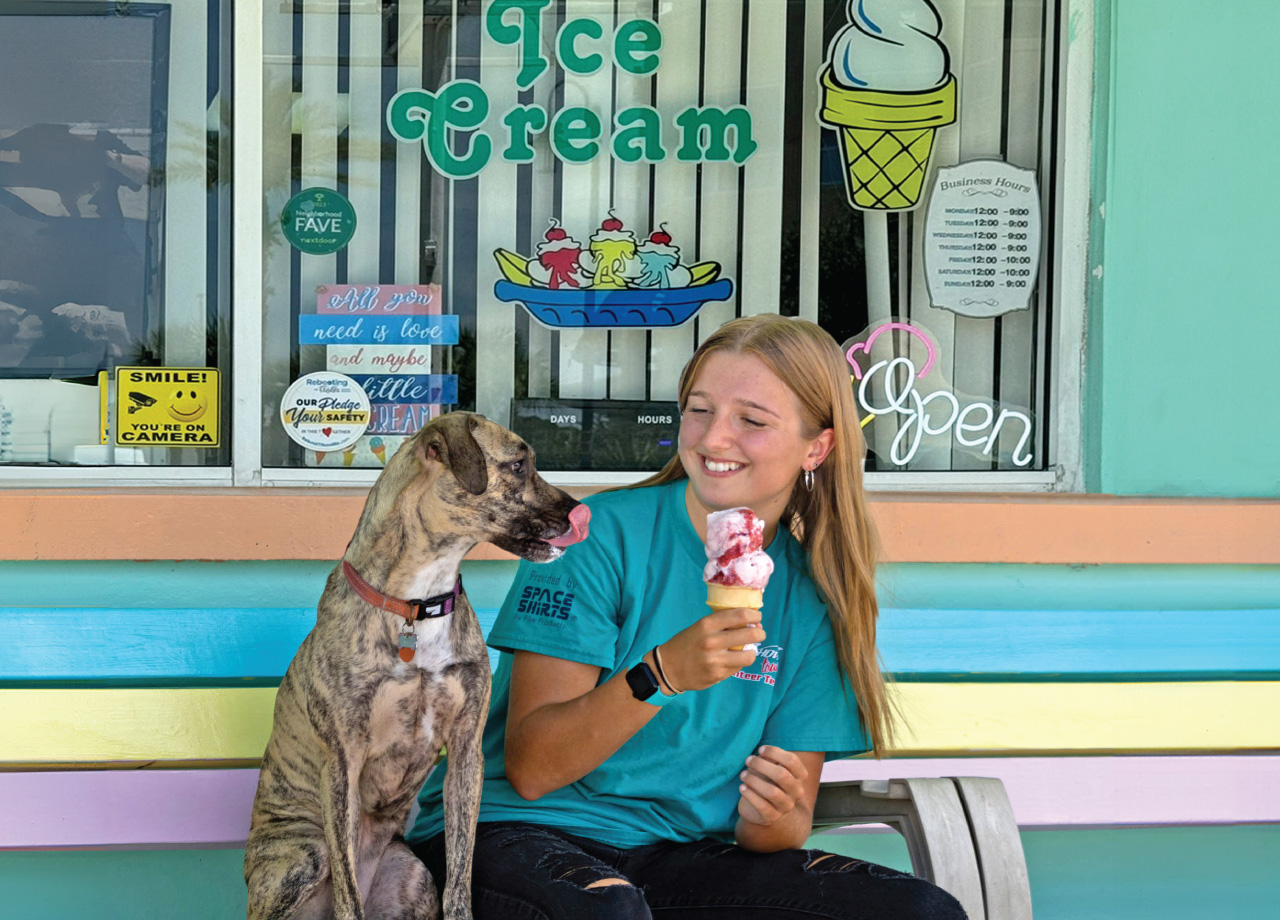 Ice Cream and dog